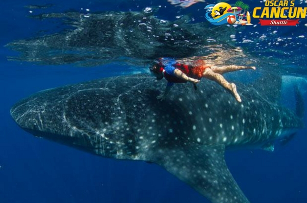 snorkeling mexico